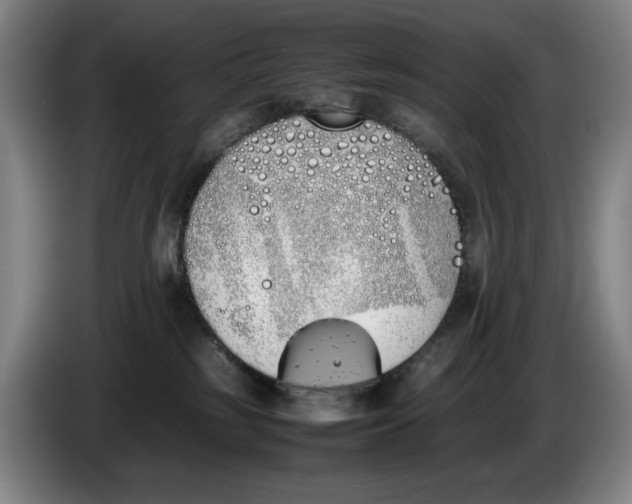 X0000086340185200704202108