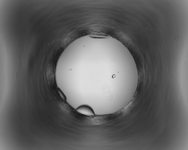 X0000086340186200704202108