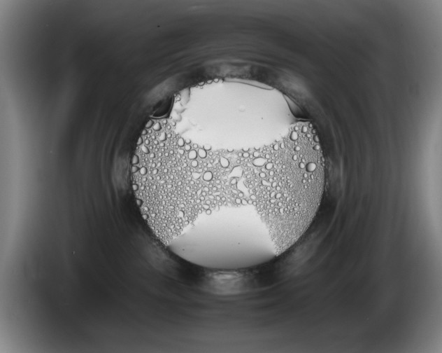 X0000086340189200704202108