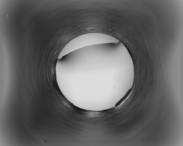 X0000086340192200704202108