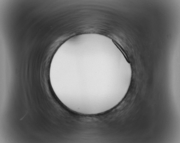 X0000086340193200704202108