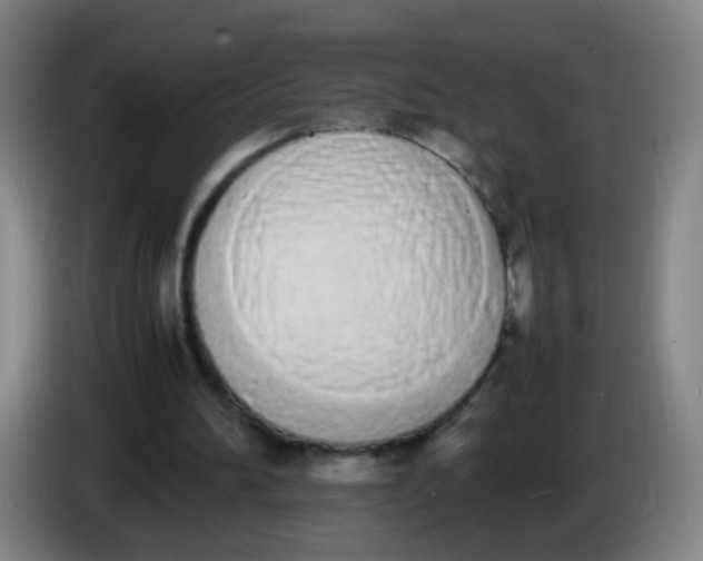 X0000086340196200704202108