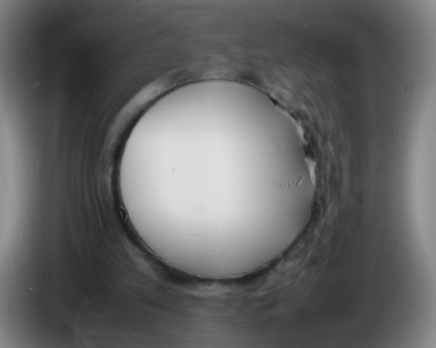 X0000086340197200704202108