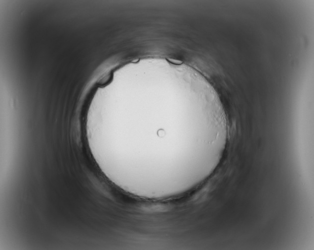 X0000086340198200704202108