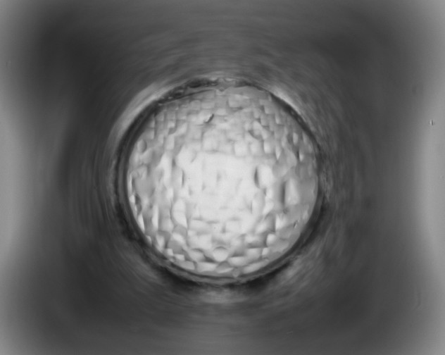 X0000086340199200704202108