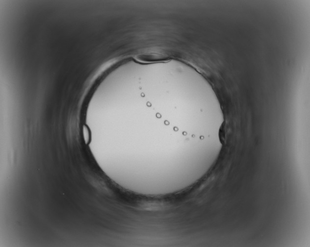 X0000086340200200704202108
