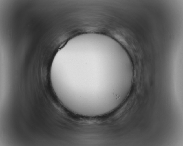 X0000086340201200704202108
