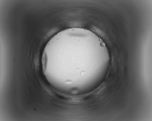 X0000086340202200704202108