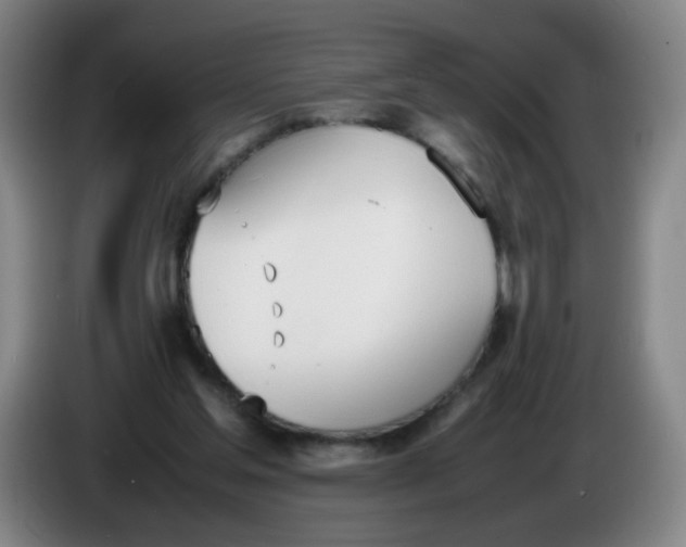 X0000086340205200704202108