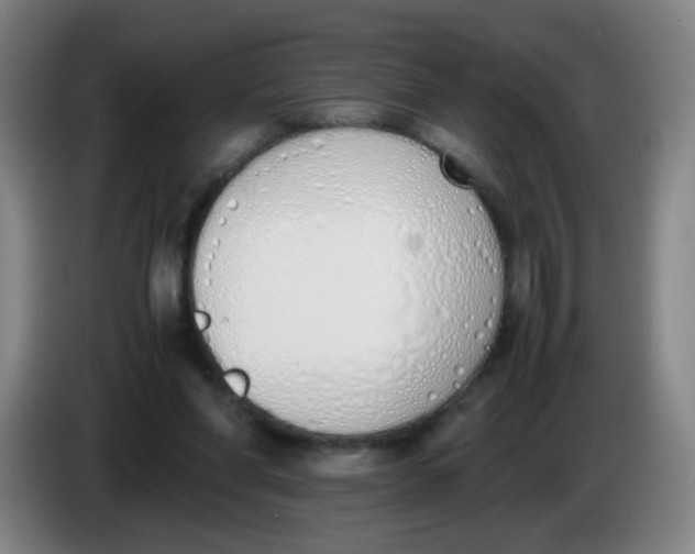 X0000086340206200704202108