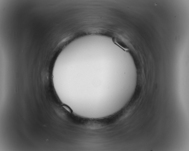 X0000086340207200704202108