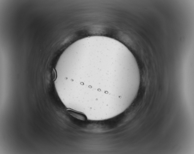 X0000086340211200704202108