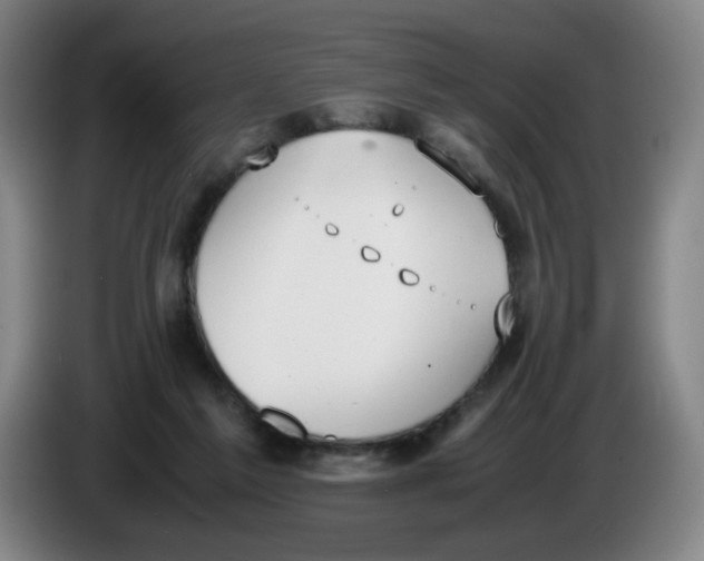 X0000086340213200704202107
