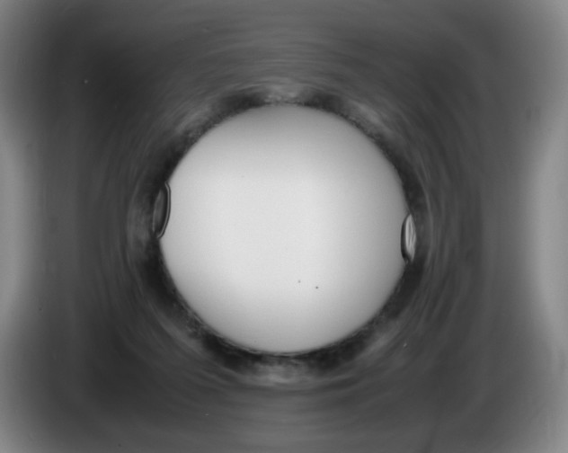 X0000086340215200704202107