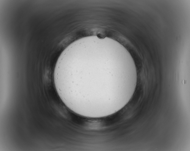 X0000086340218200704202107