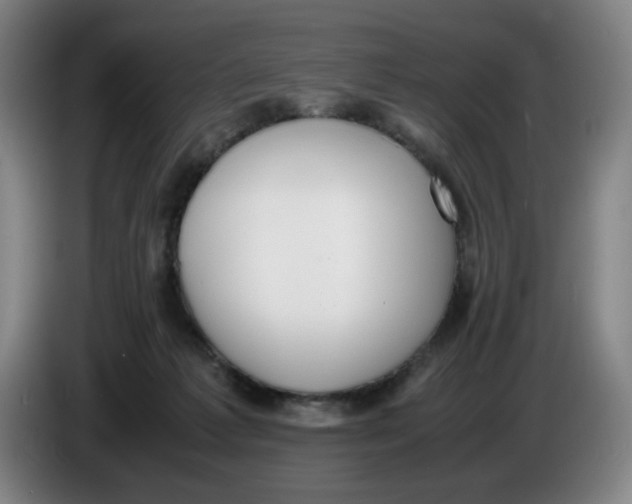 X0000086340221200704202107