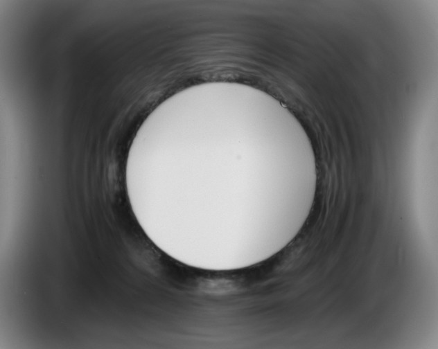 X0000086340224200704202107