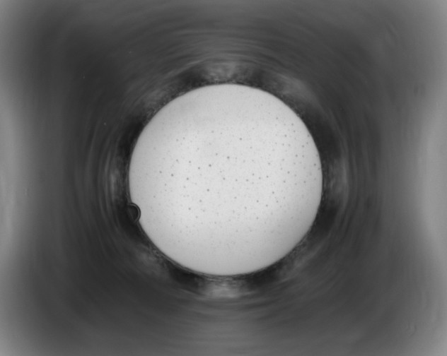 X0000086340226200704202107
