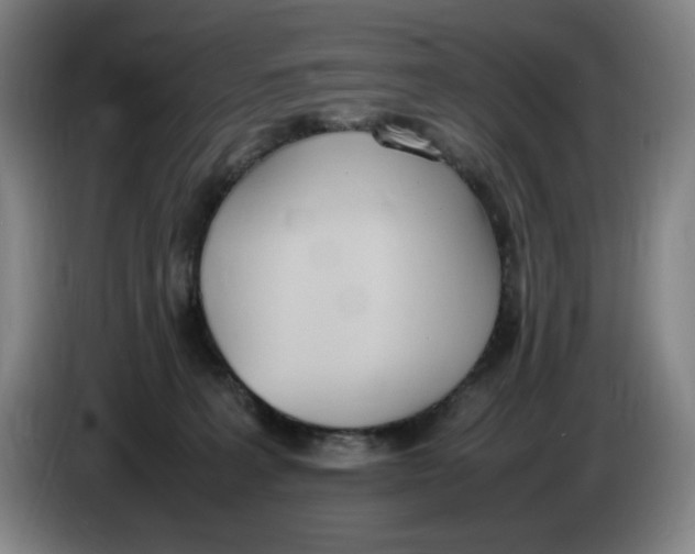X0000086340227200704202107