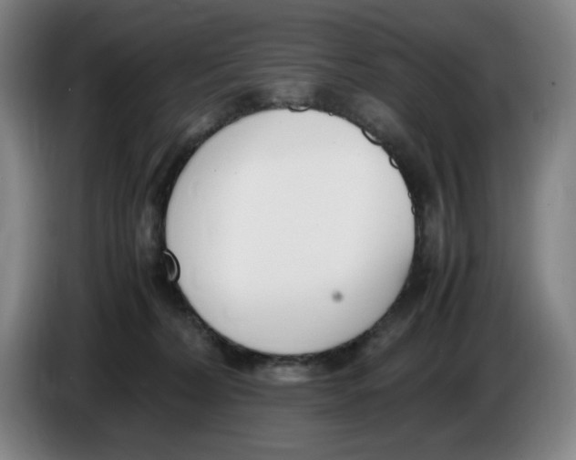 X0000086340228200704202107