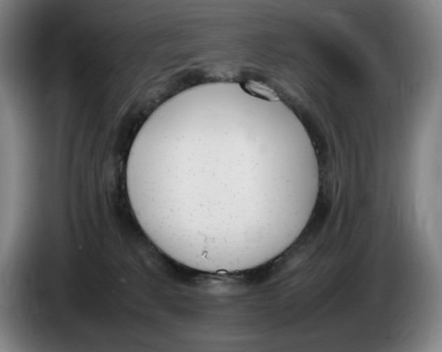 X0000086340229200704202107