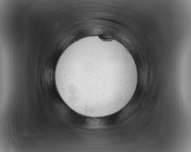 X0000086340230200704202107