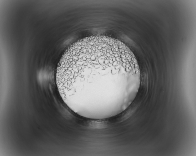X0000086340238200704202107