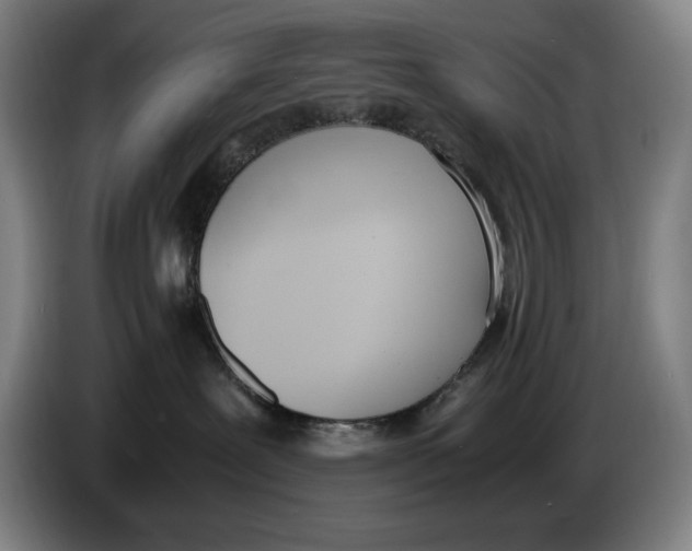 X0000086340239200704202107
