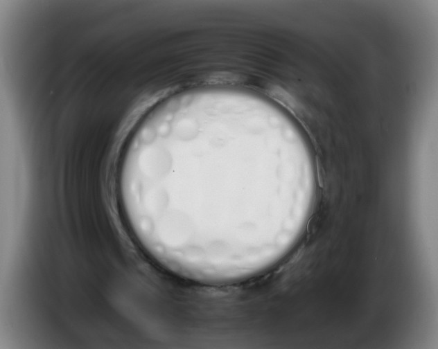 X0000086340241200704202107