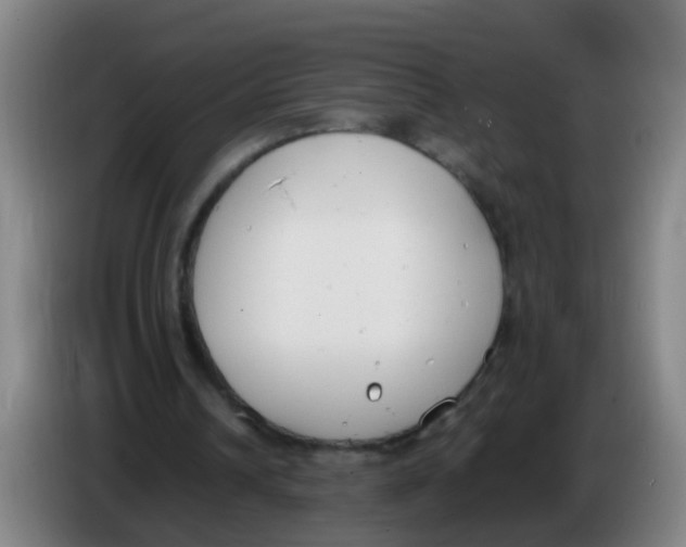 X0000086340242200704202107