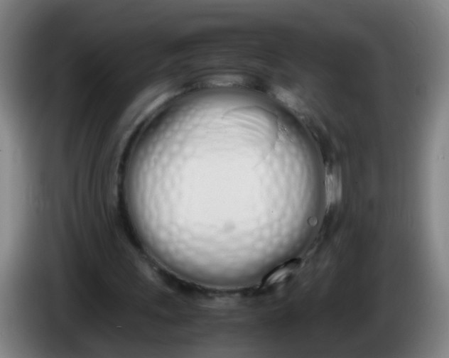 X0000086340243200704202107