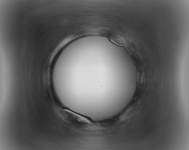 X0000086340244200704202107