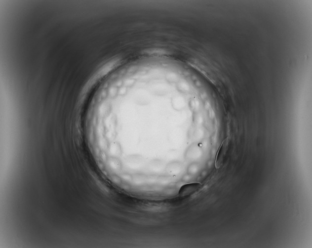 X0000086340245200704202107