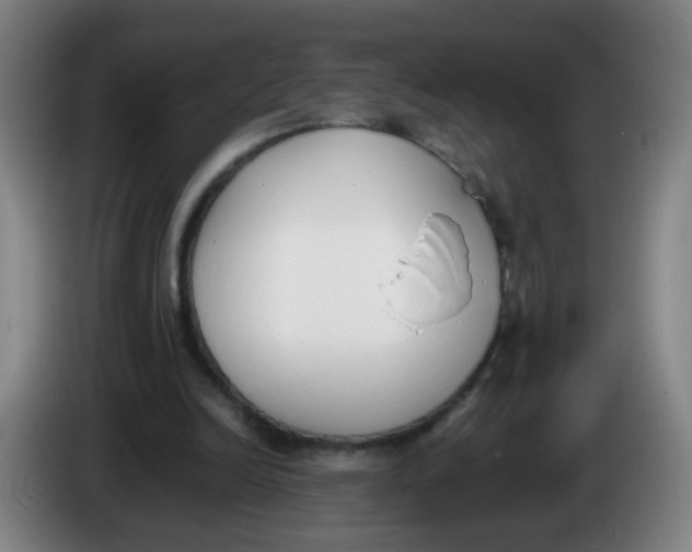 X0000086340246200704202107