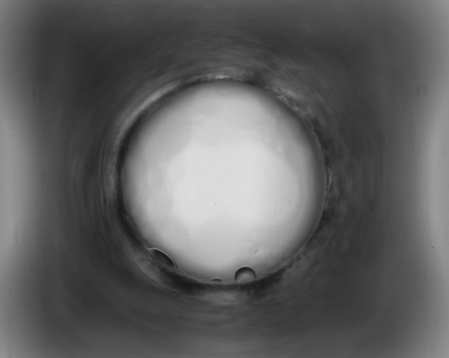 X0000086340247200704202107