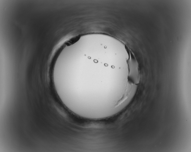 X0000086340248200704202107