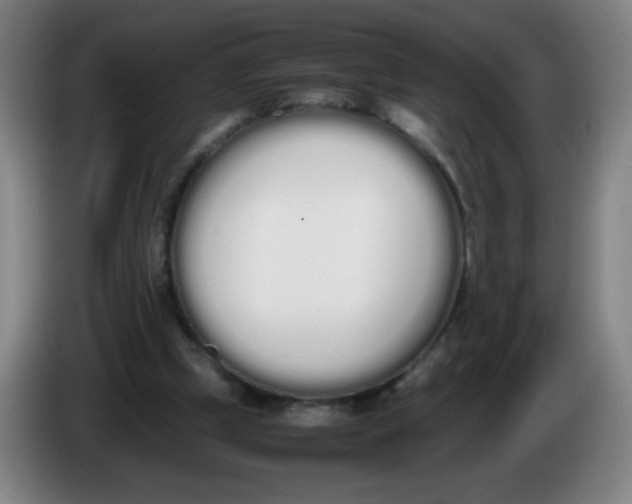 X0000086340249200704202107