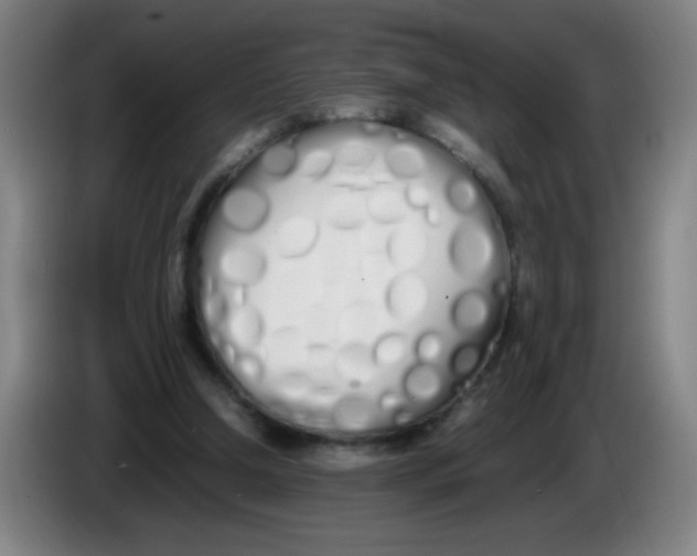 X0000086340250200704202107