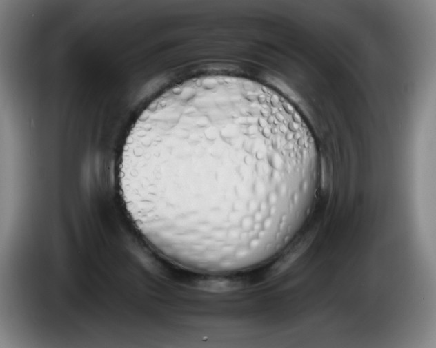 X0000086340253200704202107