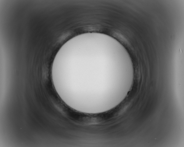 X0000086340255200704202107