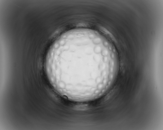 X0000086340257200704202107