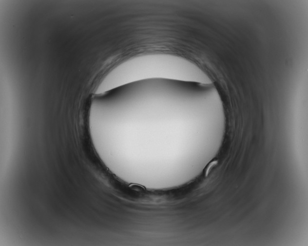 X0000086340260200704202107