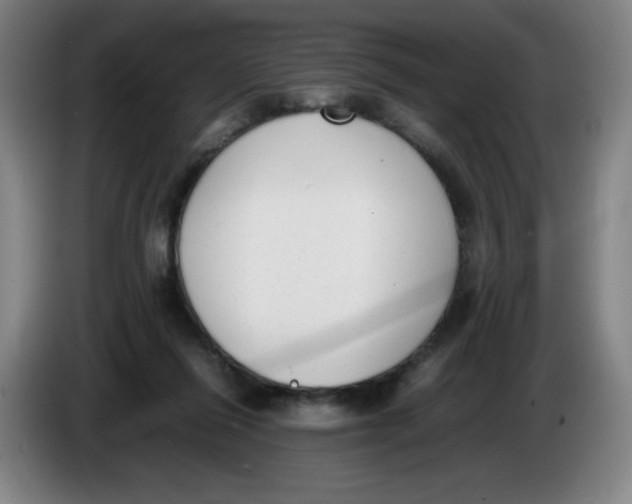 X0000086340262200704202107