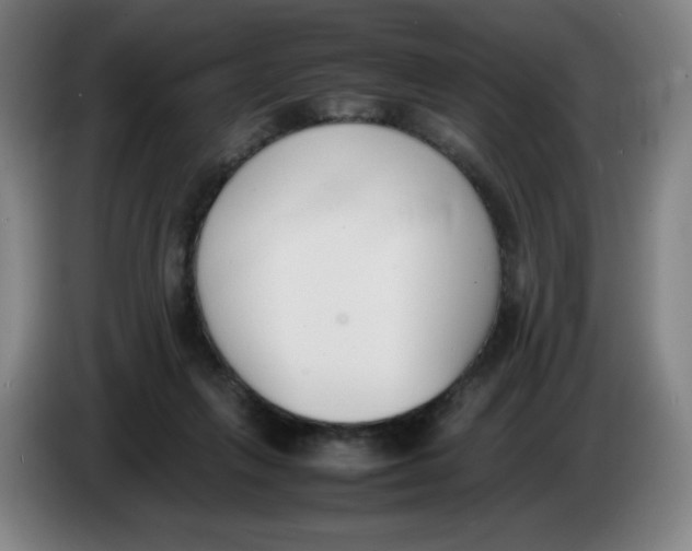 X0000086340263200704202107