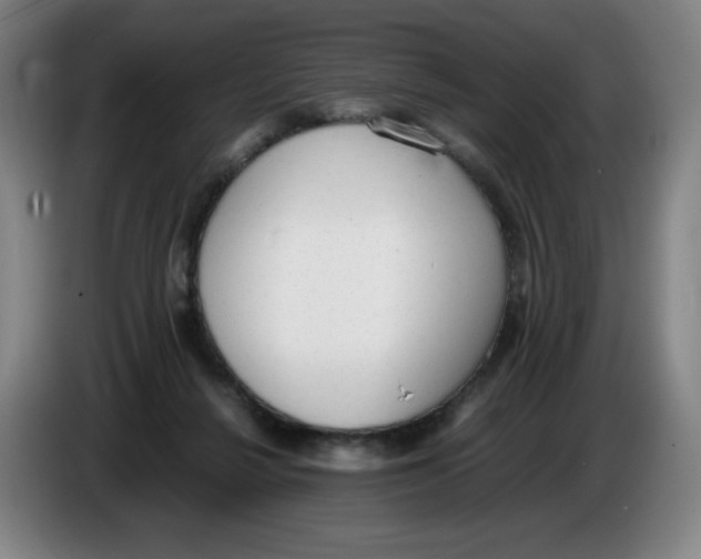 X0000086340264200704202107