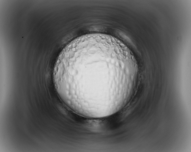 X0000086340265200704202107