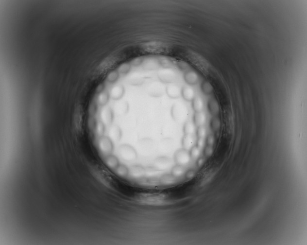 X0000086340266200704202107