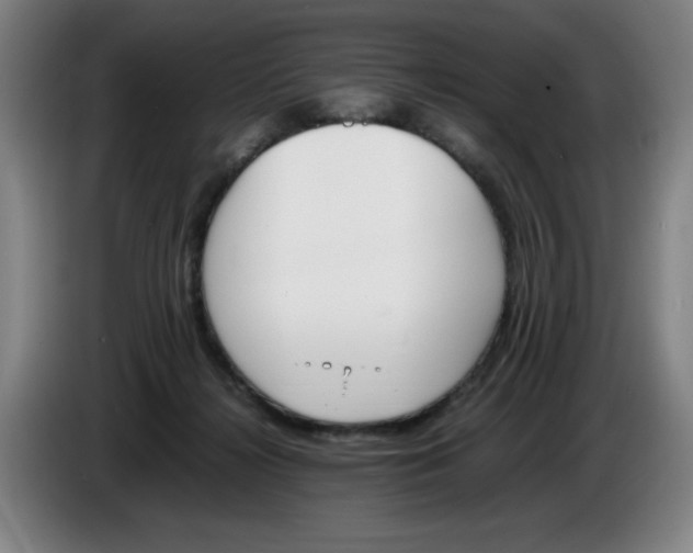 X0000086340268200704202107