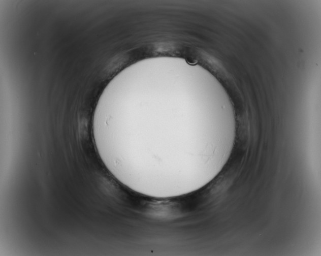X0000086340269200704202107