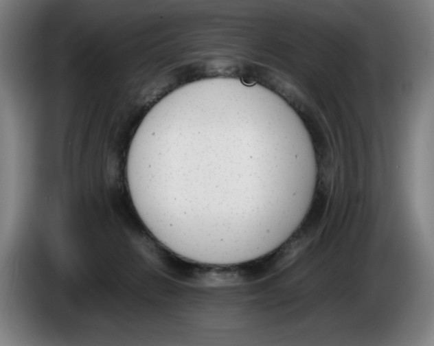 X0000086340270200704202107